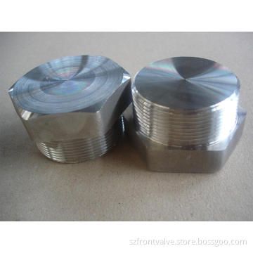 Forged Steel High Pressure Threaded/Socket Weld Hexagonal Plug